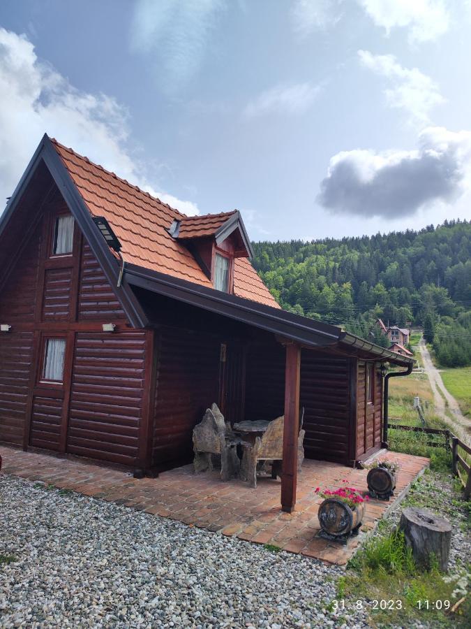 Vila Carobna Suma Tara Bajina Basta Exterior photo